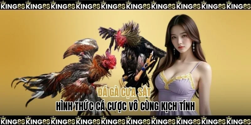 Đá gà cựa sắt